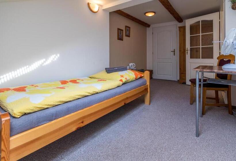 Номер Стандарт Индивидуальный, Penzion A Restaurace U Vladaře