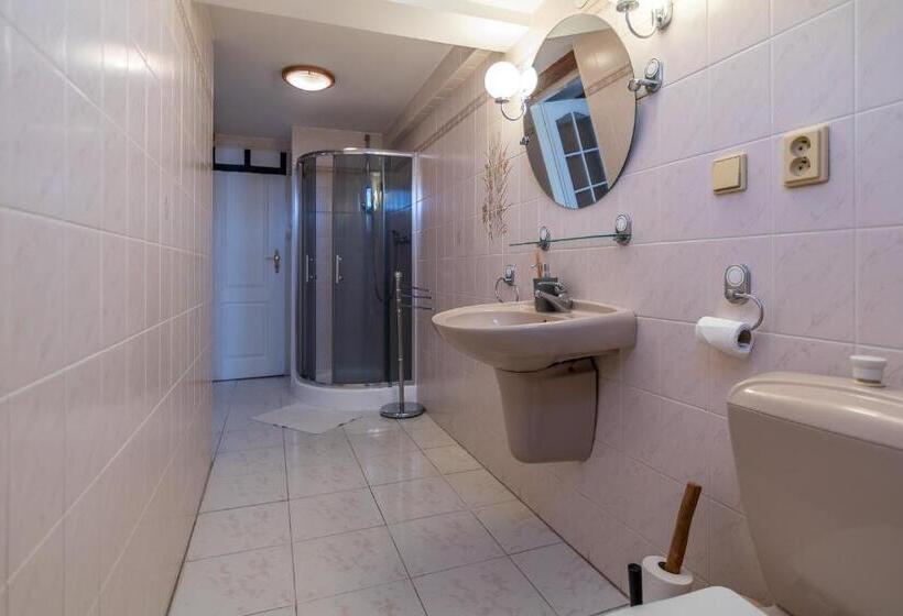 Номер Стандарт Индивидуальный, Penzion A Restaurace U Vladaře