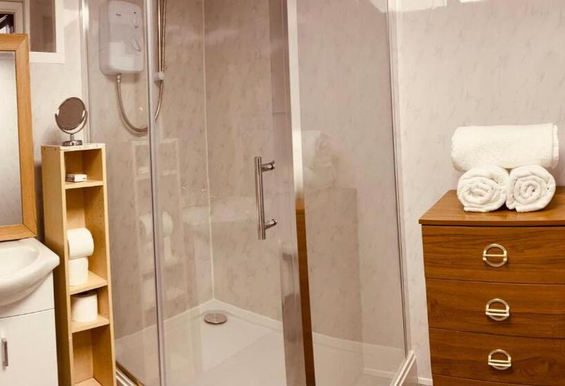 Апартаменты Superior 1 Спальня, Danescourt Lodge