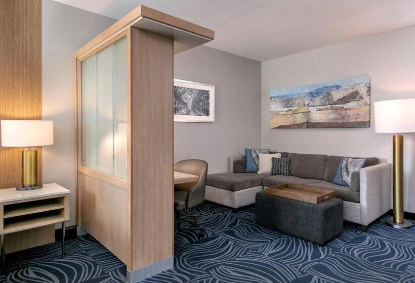 جناح سرير كينج, Springhill Suites By Marriott Paso Robles Atascadero