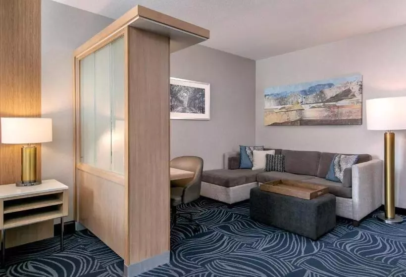キングサイズベッドのスイートルーム, Springhill Suites By Marriott Paso Robles Atascadero