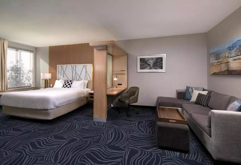 キングサイズベッドのスイートルーム, Springhill Suites By Marriott Paso Robles Atascadero