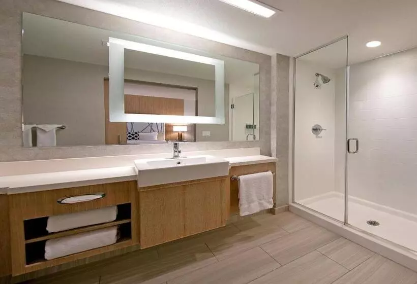 キングサイズベッドのスタンダードルーム, Springhill Suites By Marriott Paso Robles Atascadero