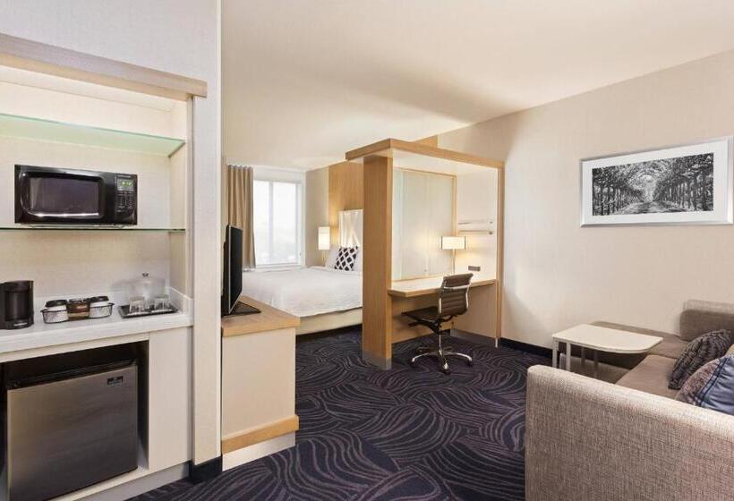 Люкс Кровать Кинг, Springhill Suites By Marriott Paso Robles Atascadero