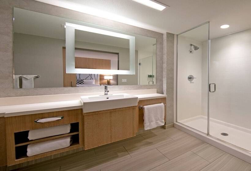 جناح, Springhill Suites By Marriott Paso Robles Atascadero