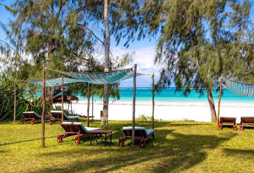 سوییت خانوادگی, Nomad Beach Resort