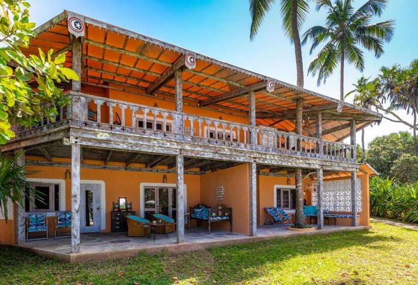 سوئیت جونیور با تراس, Nomad Beach Resort