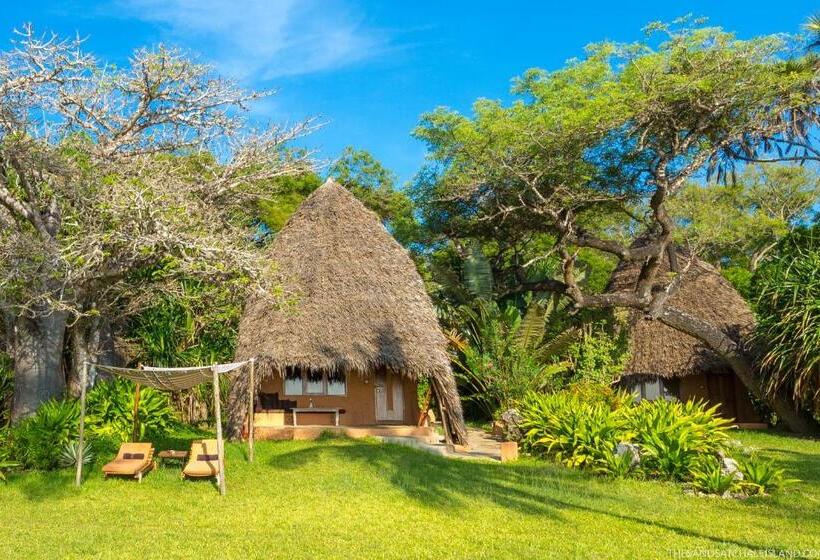 بانگلوی استاندارد, Nomad Beach Resort