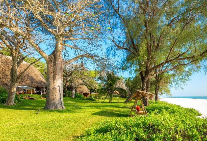 بانگلوی استاندارد, Nomad Beach Resort