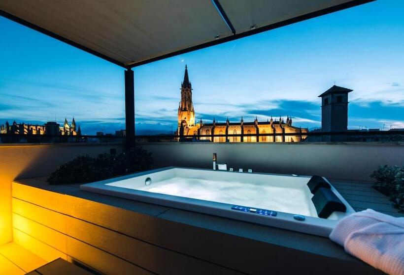 Студия Стандарт, Sant Francesc Hotel Singular