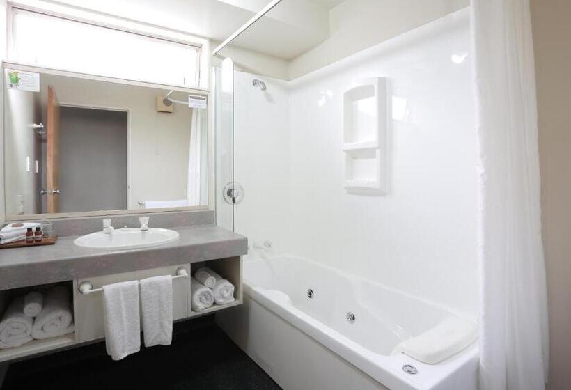 标准工作室, Homestead Villa Motel