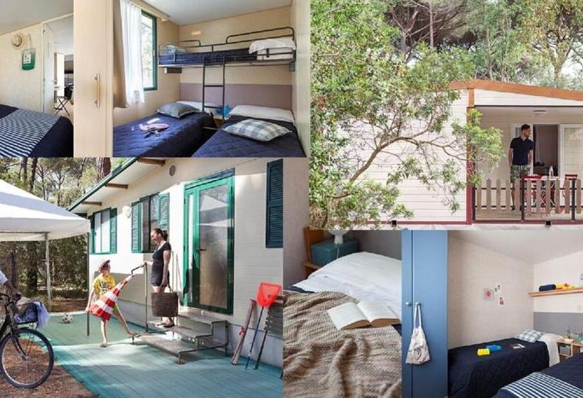スタンダードルーム, Puntala Camp & Resort