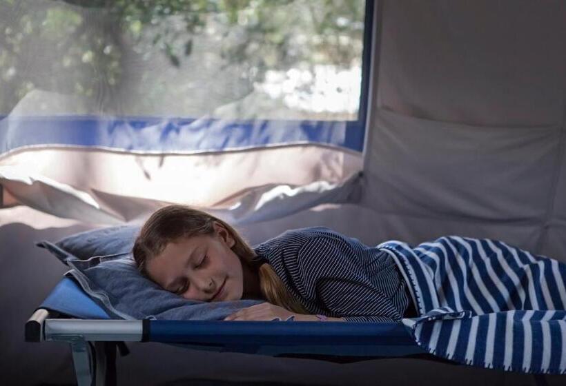 Standard Tent, Puntala Camp & Resort
