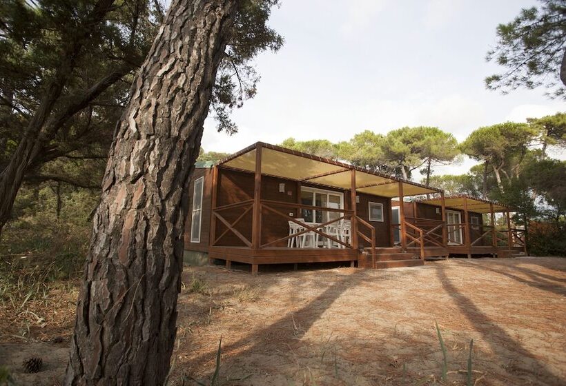 خانه 2 خوابه, Puntala Camp & Resort