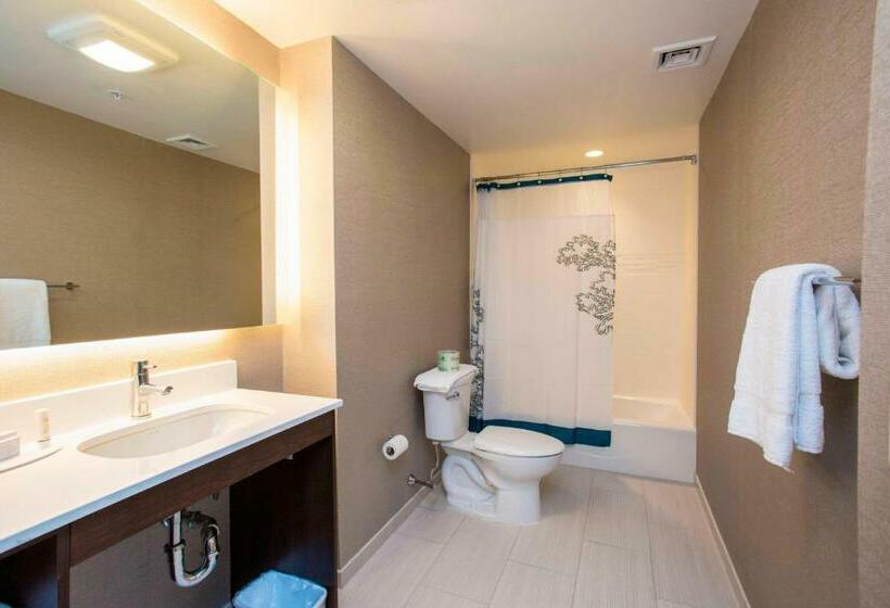 סוויטה, Residence Inn By Marriott The Bronx At Metro Center Atrium