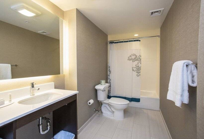 סוויטה, Residence Inn By Marriott The Bronx At Metro Center Atrium