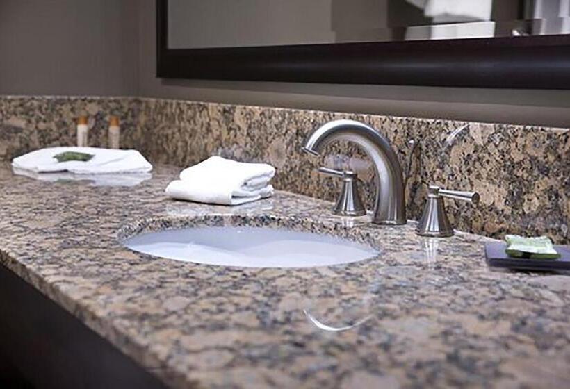 غرفة قياسية سرير كينج, Isle Of Capri Casino Hotel Boonville