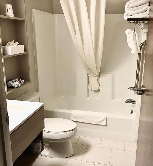 Номер Стандарт, Microtel Inn & Suites By Wyndham Georgetown Delaware Beaches