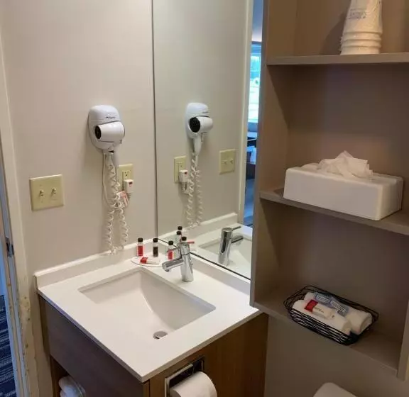 スタンダードルーム, Microtel Inn & Suites By Wyndham Georgetown Delaware Beaches