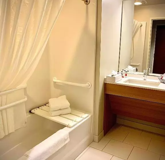 身障者適用スタンダードルーム, Microtel Inn & Suites By Wyndham Georgetown Delaware Beaches