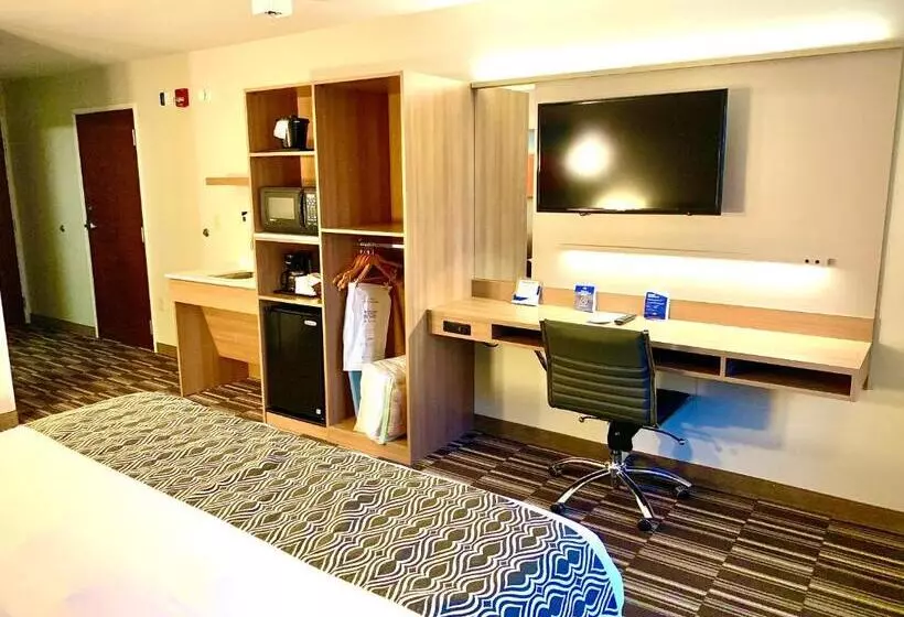 身障者適用スタンダードルーム, Microtel Inn & Suites By Wyndham Georgetown Delaware Beaches