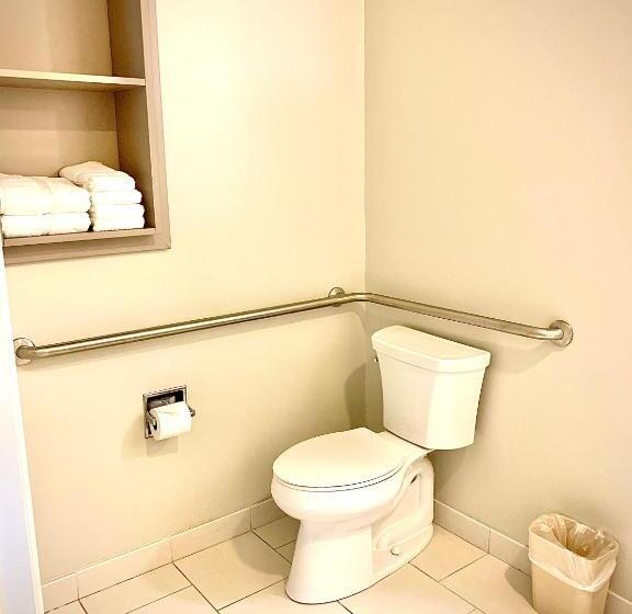 Номер Стандарт Адаптированный для Инвалидов, Microtel Inn & Suites By Wyndham Georgetown Delaware Beaches