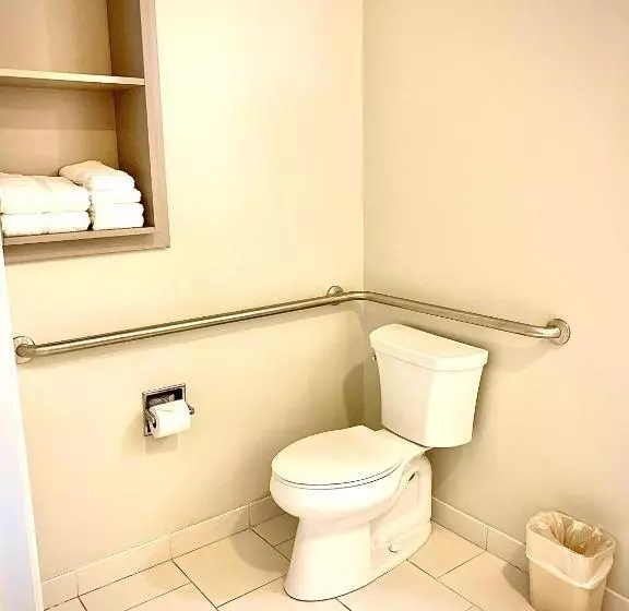 身障者適用スタンダードルーム, Microtel Inn & Suites By Wyndham Georgetown Delaware Beaches