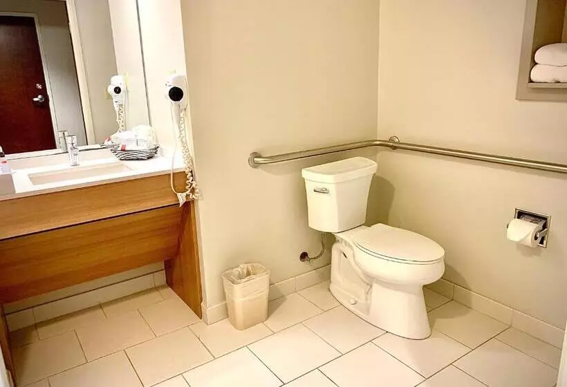 身障者適用スタンダードルーム, Microtel Inn & Suites By Wyndham Georgetown Delaware Beaches