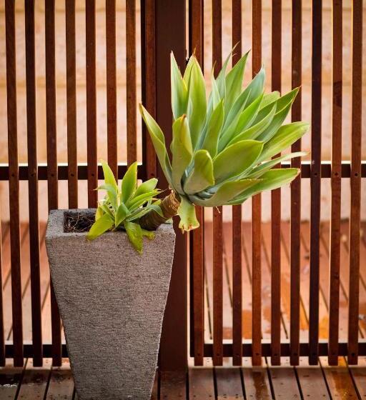 استودیوی استاندارد, The Billi Resort