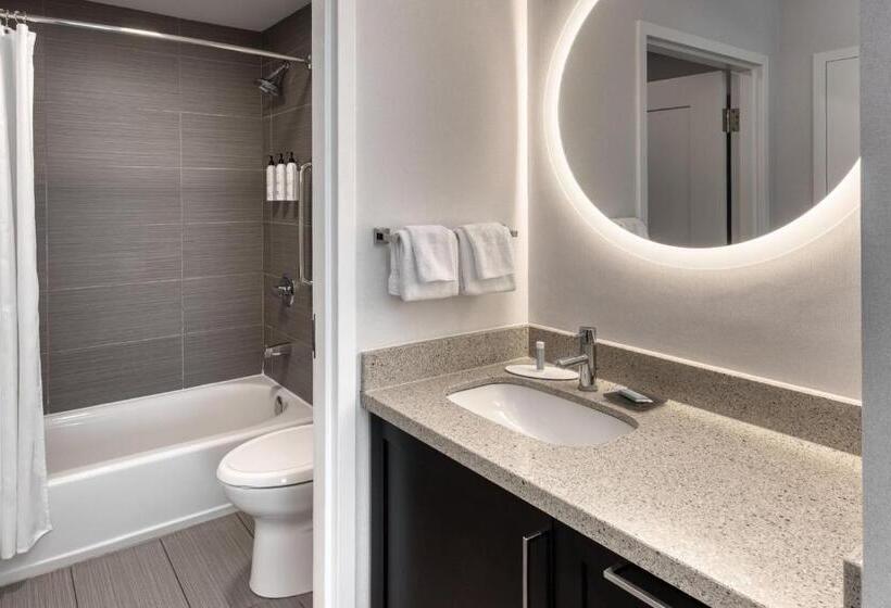 Студия Стандарт, Towneplace Suites By Marriott Belleville
