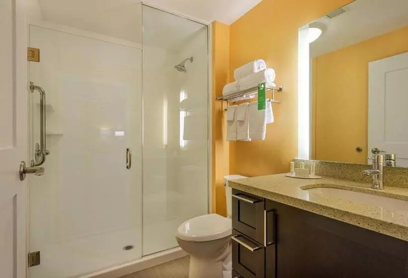 ダブルベッドのスタンダードスタジオ, Towneplace Suites By Marriott Belleville