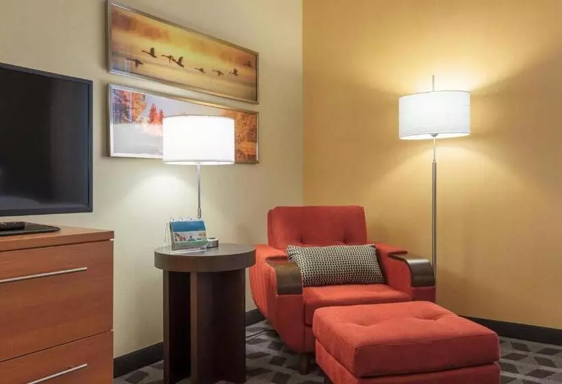 ダブルベッドのスタンダードスタジオ, Towneplace Suites By Marriott Belleville