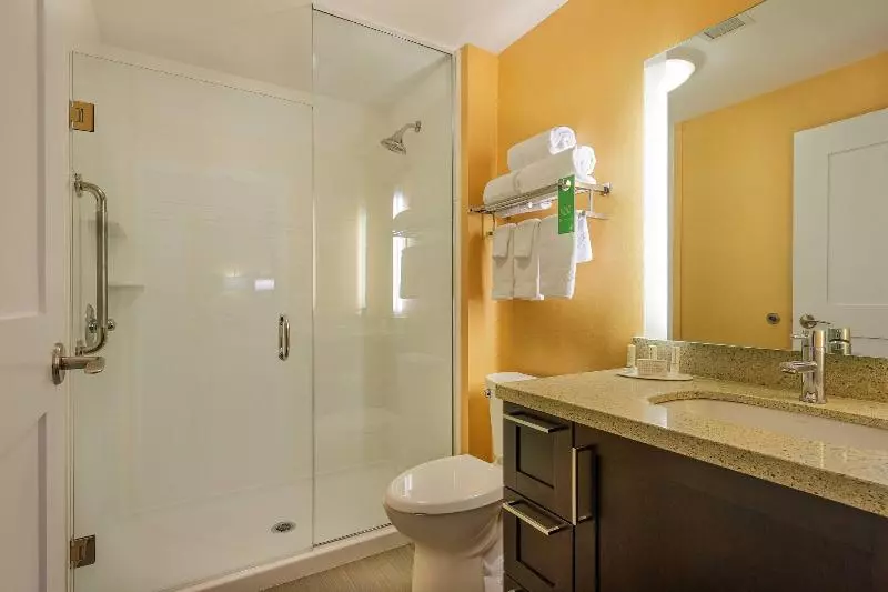 キングサイドベッドのスタンダードワンルーム, Towneplace Suites By Marriott Belleville