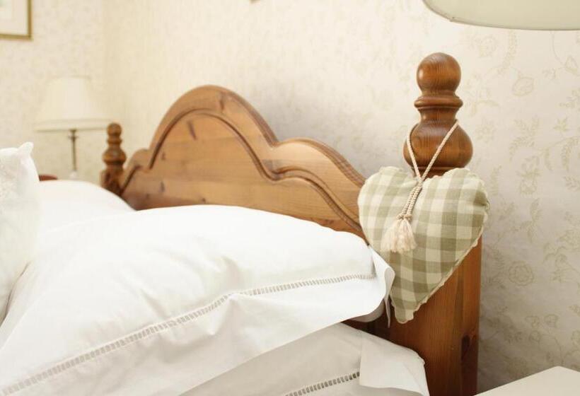 デラックスルーム, Ty Llwyd