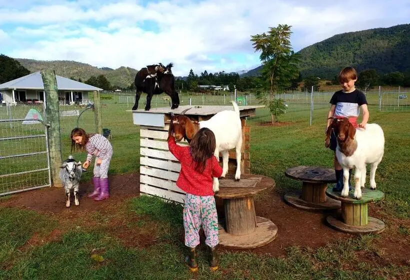 ３ベッドルームハウス, Fig Tree Farm B&b Highvale Farmstay Near Brisbane!