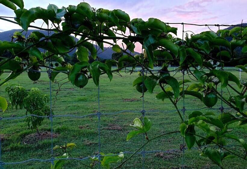 침실 3개 주택, Fig Tree Farm B&b Highvale Farmstay Near Brisbane!