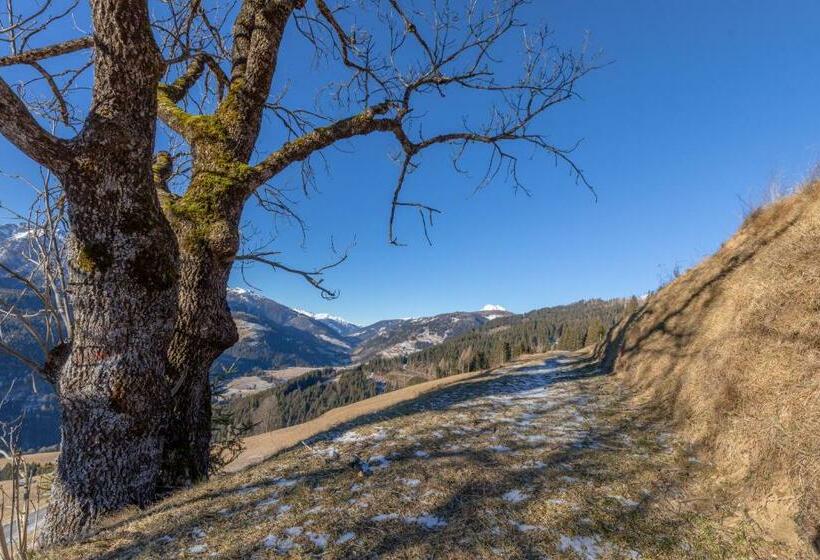 Номер Стандарт Вид на Горы, Jörgishof
