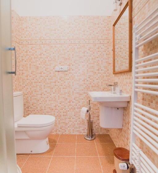 Номер Стандарт, Statek Dolní Suchá