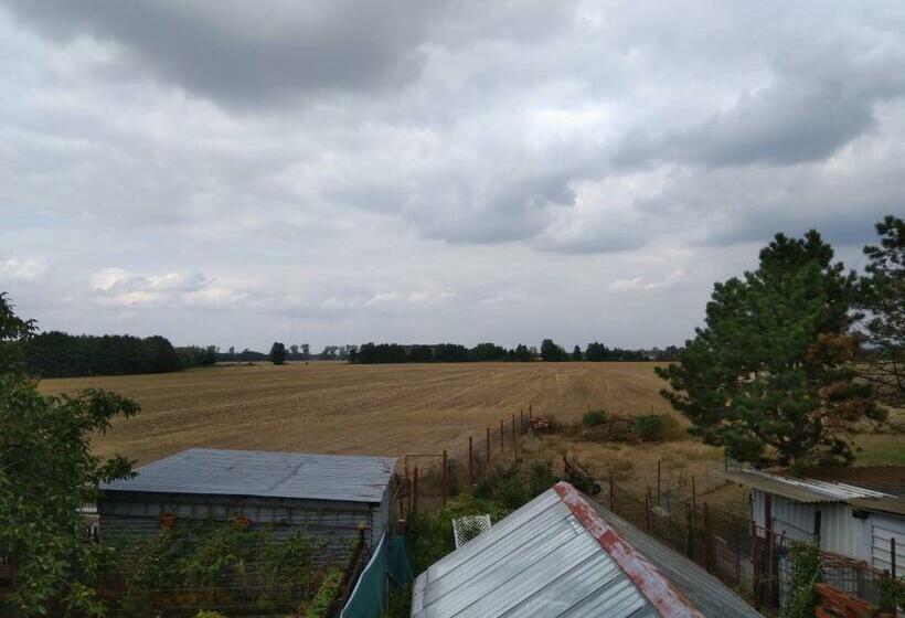 חדר סטנדרט לארבעה, Pension Family Club