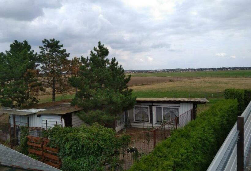 Четырехместный Номер Стандарт, Pension Family Club