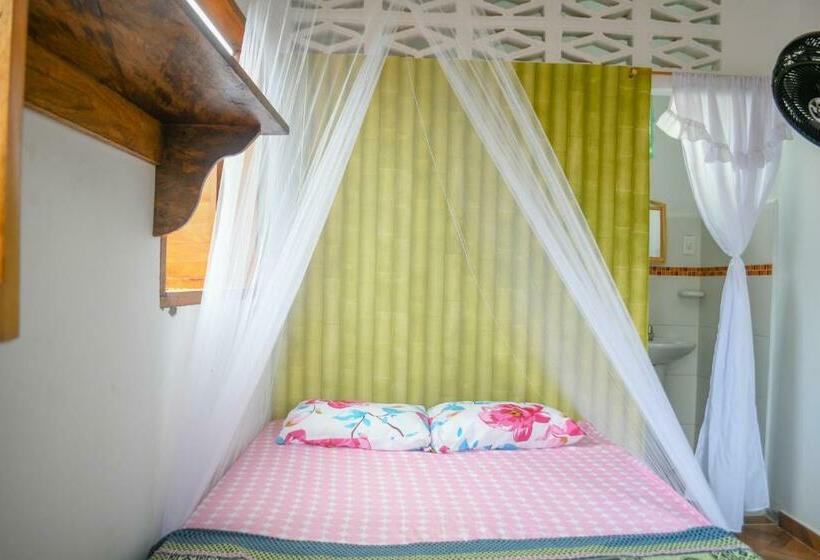 Quarto Estandar, L  Europe