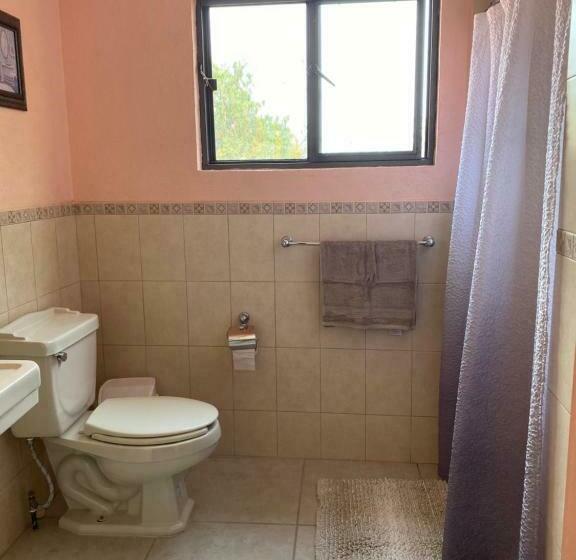 اتاق استاندارد, Casona Dos Vidas