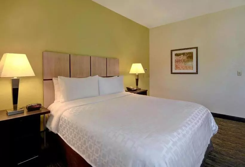 キングサイズベッドのスイートルーム, Candlewood Suites Carrollton, An Ihg