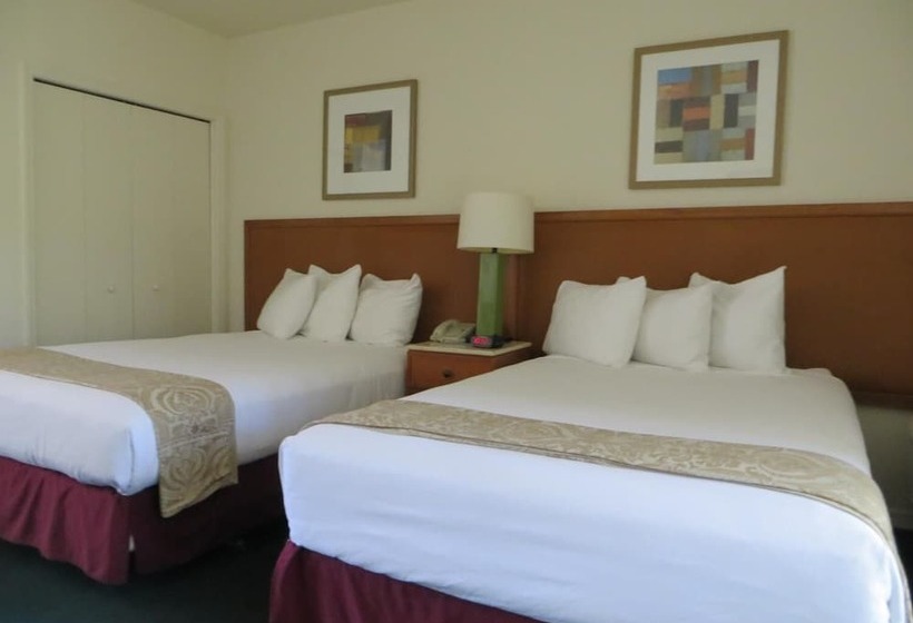 Номер Стандарт 2 Двуспальные Кровати, Central Motel  Inverness