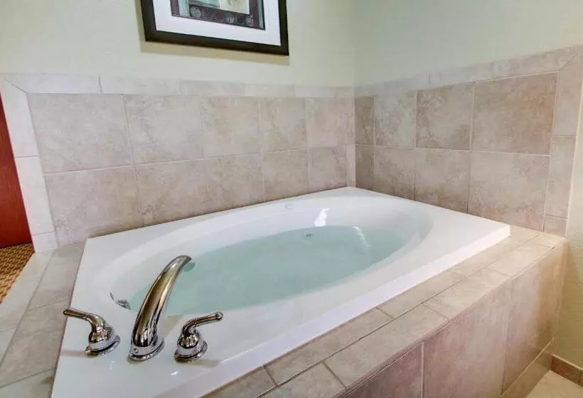 キングサイズベッドのスタンダードルーム, Cobblestone Inn & Suites   Schuyler
