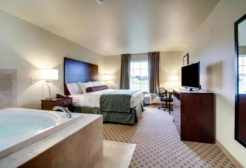 キングサイズベッドのスタンダードルーム, Cobblestone Inn & Suites   Schuyler
