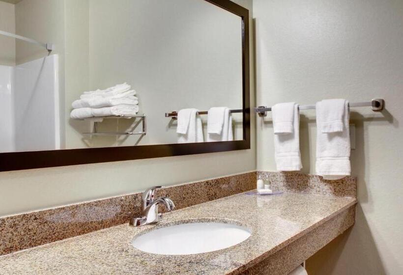 غرفة قياسية سرير كينج, Cobblestone Inn & Suites   Schuyler