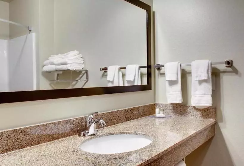 キングサイズベッドのスタンダードルーム, Cobblestone Inn & Suites   Schuyler