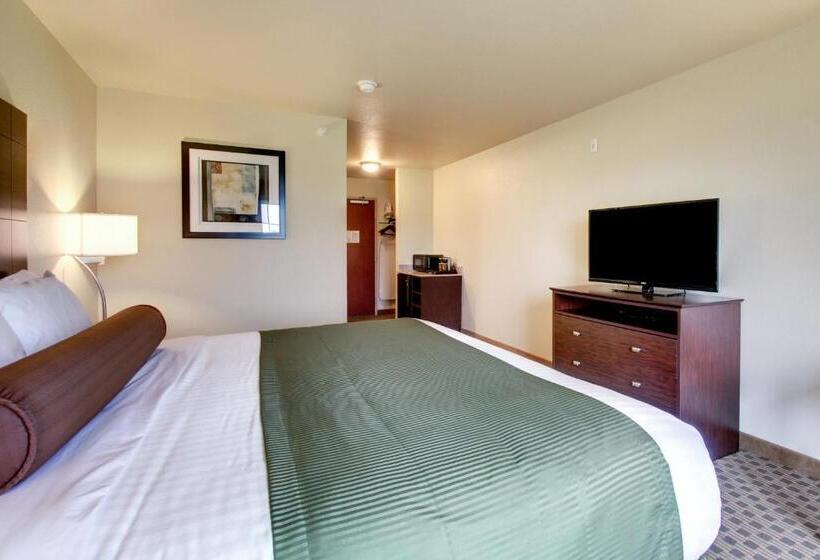 스탠다드 룸 킹사이즈 침대, Cobblestone Inn & Suites   Schuyler