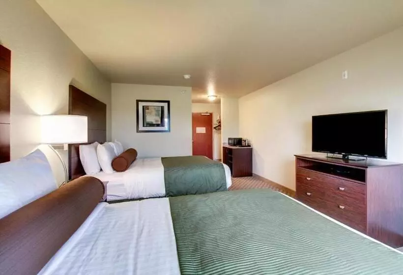 スタンダードルーム, Cobblestone Inn & Suites   Schuyler